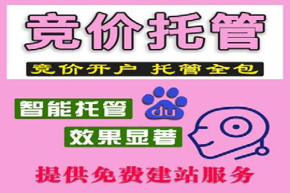 成功SEM竞价托管案例分析报告